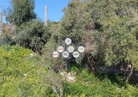 Terreno edificabile presso Belvedere 